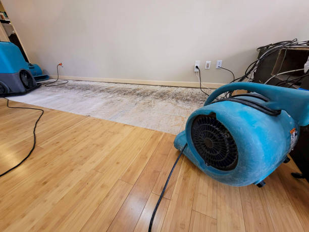 Professional Flood Damage Cleanup technician working in Oxford, MI